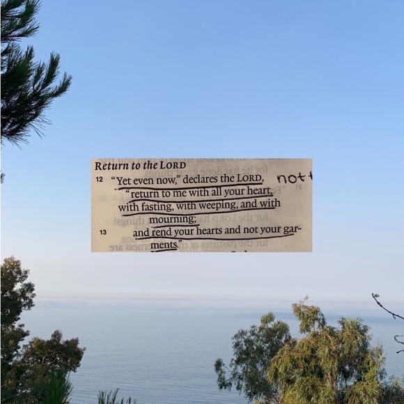 ✨welcome to my lil shop 🥰 - Picture 12 of 14